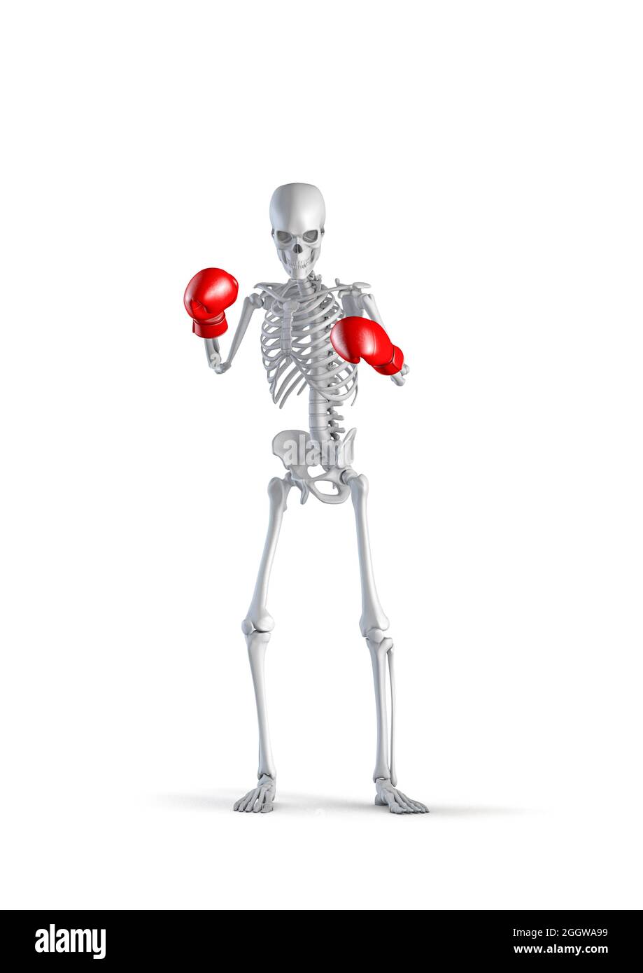 Skeleton with boxing gloves hi-res stock photography and images - Alamy