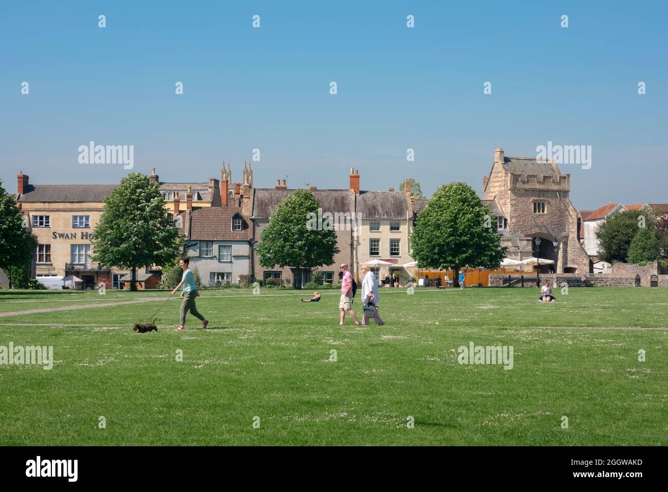 Wells Cathedral Green, view in summer of people walking in Cathedral Green in the centre of the historic city of Wells, Somerset, England, UK Stock Photo