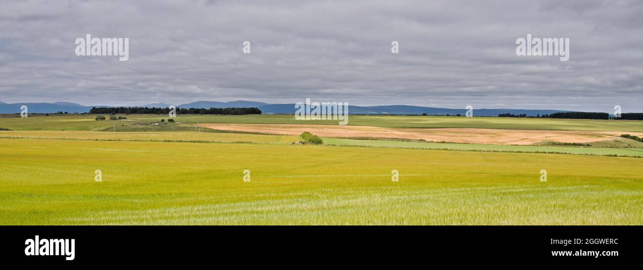 Colourful Field Patterns in Easter Ross Scotland Stock Photo