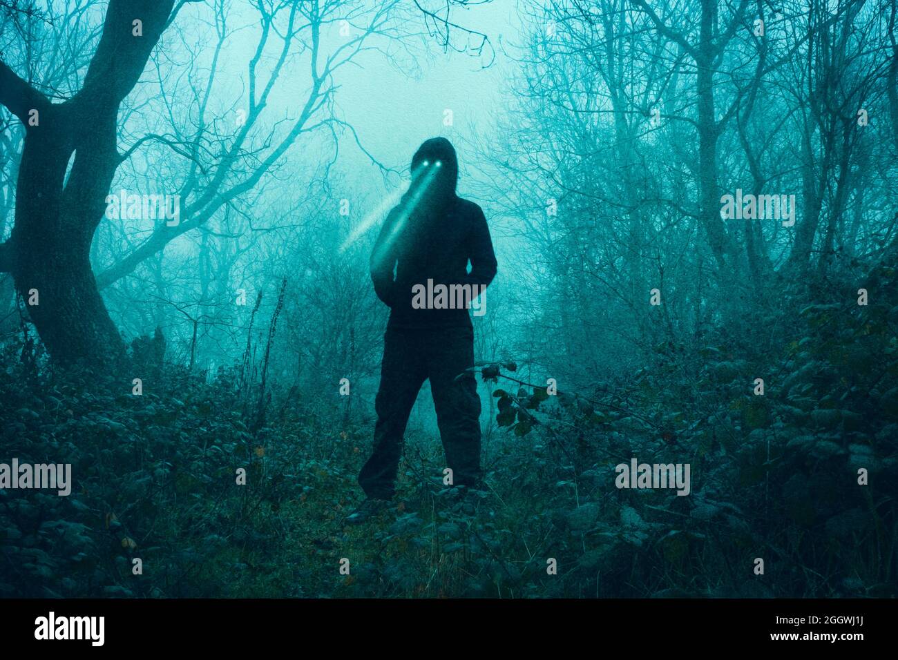 Cryptid hi-res stock photography and images - Page 3 - Alamy