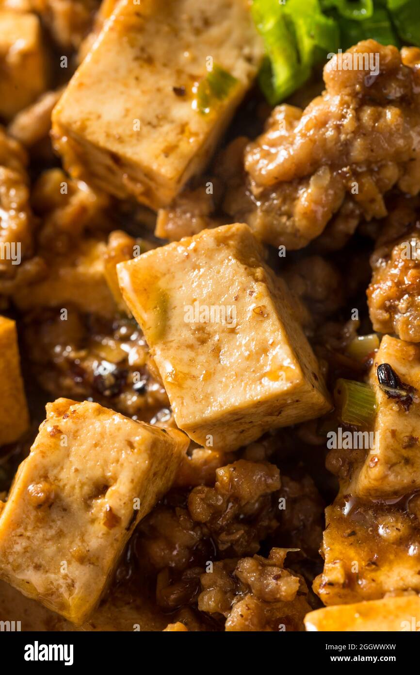 Homemade Chinese Mapo Tofu with Pork and Scallions Stock Photo Alamy