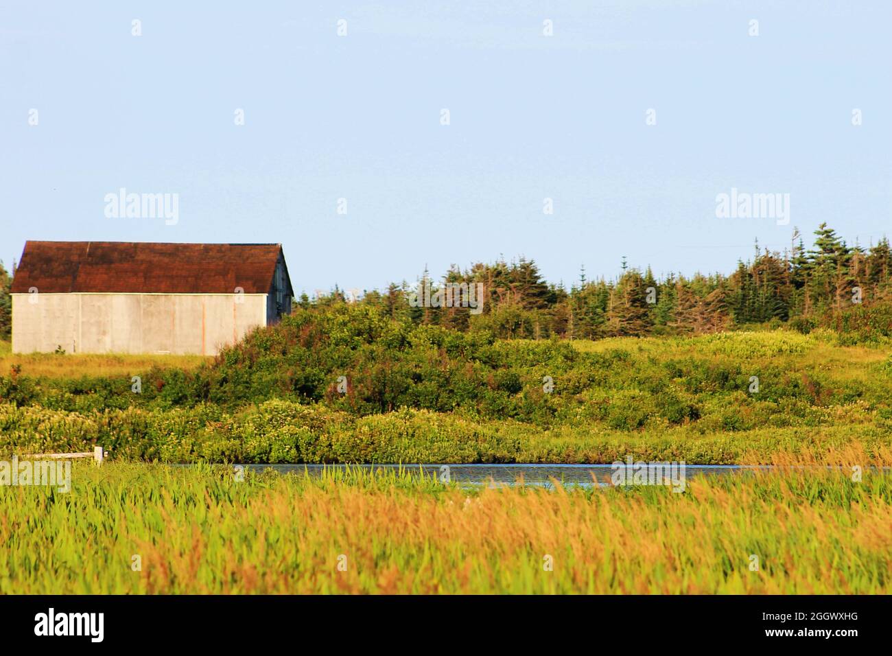 An old barn in a green meadow surrounded by trees, on the far side of a ...