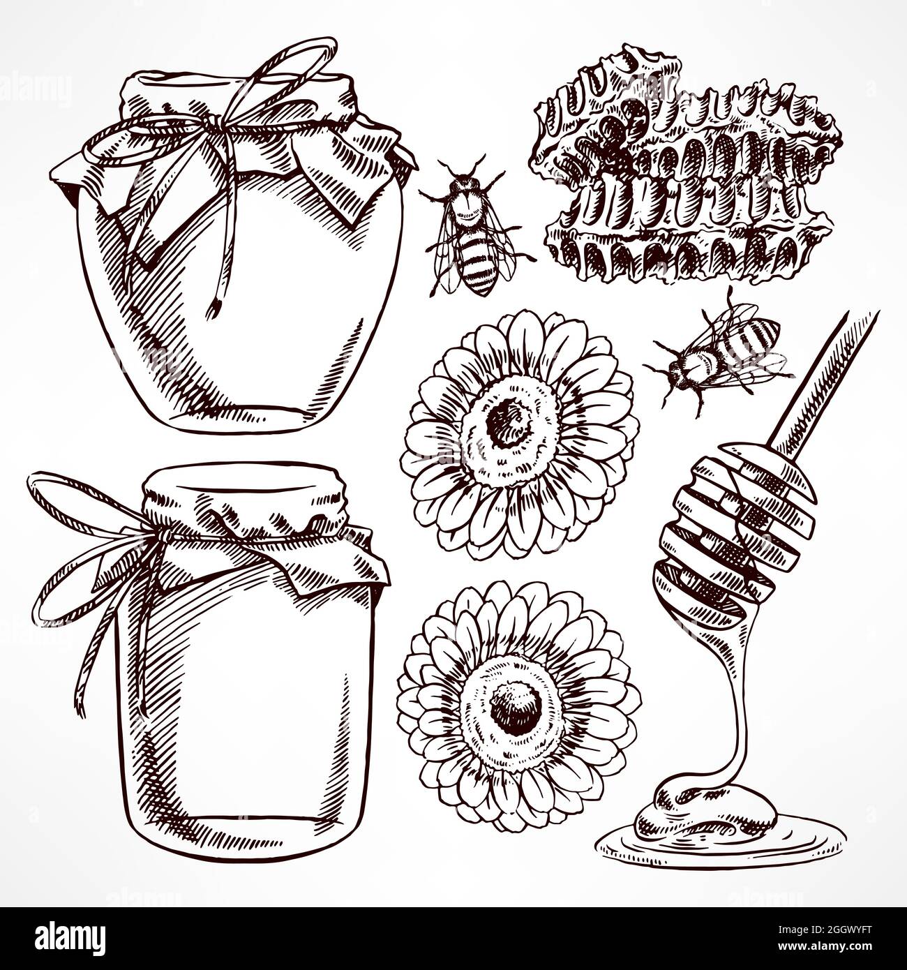 Hand Drawn Honey Jar Pattern PNG Images Hand Painted Honey Pattern PNG  Transparent Background  Pngtree  How to draw hands Honey jar Bee tattoo