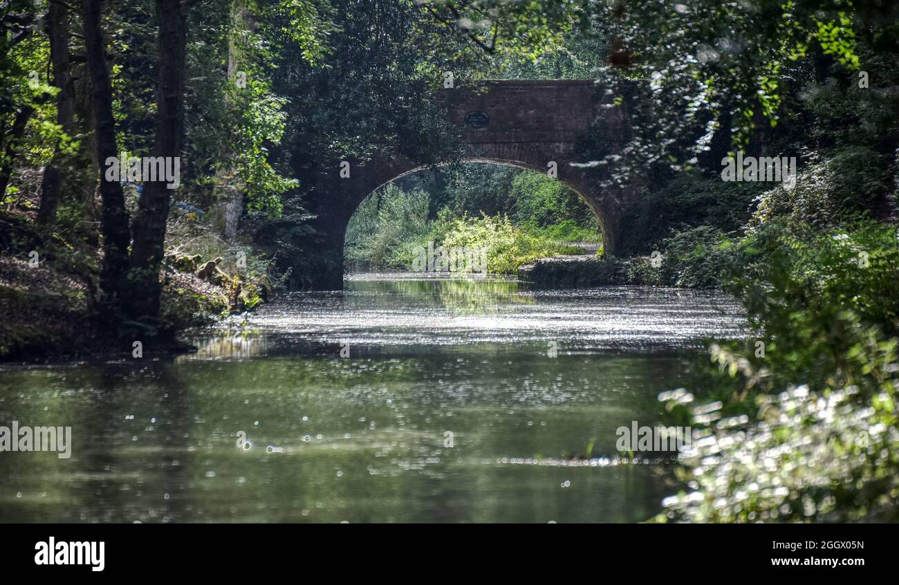 Views summer around Dogmersfield along the beautiful Basingstoke Canal in Hampshire Stock Photo