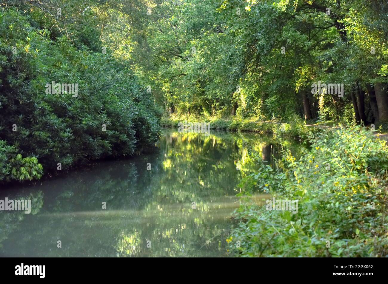 Views summer around Dogmersfield along the beautiful Basingstoke Canal in Hampshire Stock Photo