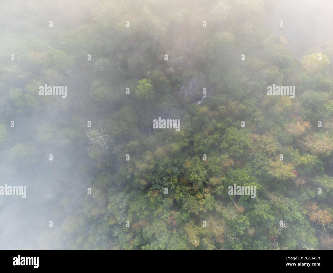 Aerial view of a foggy landscape Stock Photo - Alamy