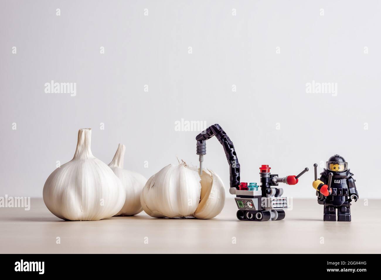 Garlic peeling concept. Illustrative editorial. September 02, 2021 Stock Photo