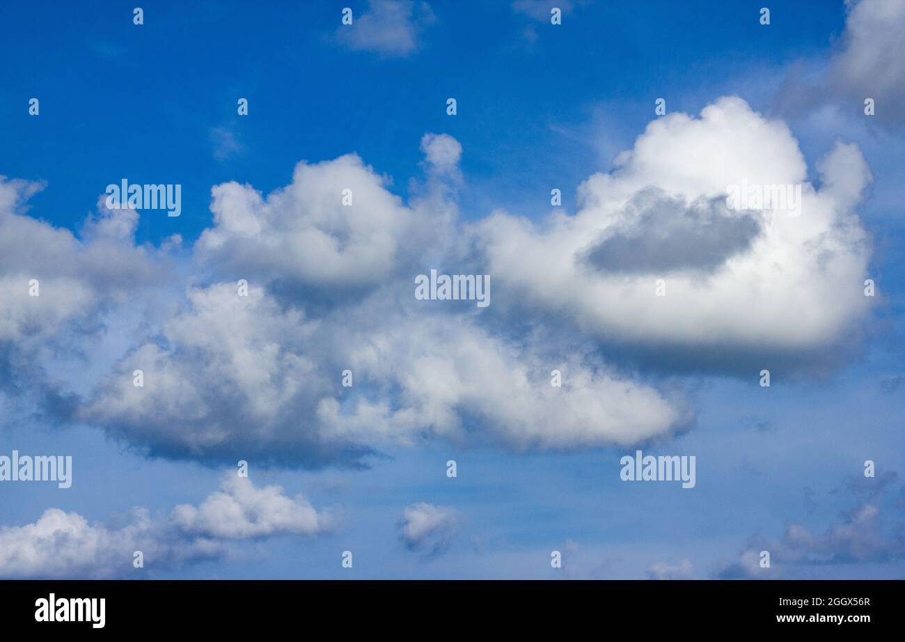 the beautiful blue sky and white clouds in summer background Stock ...