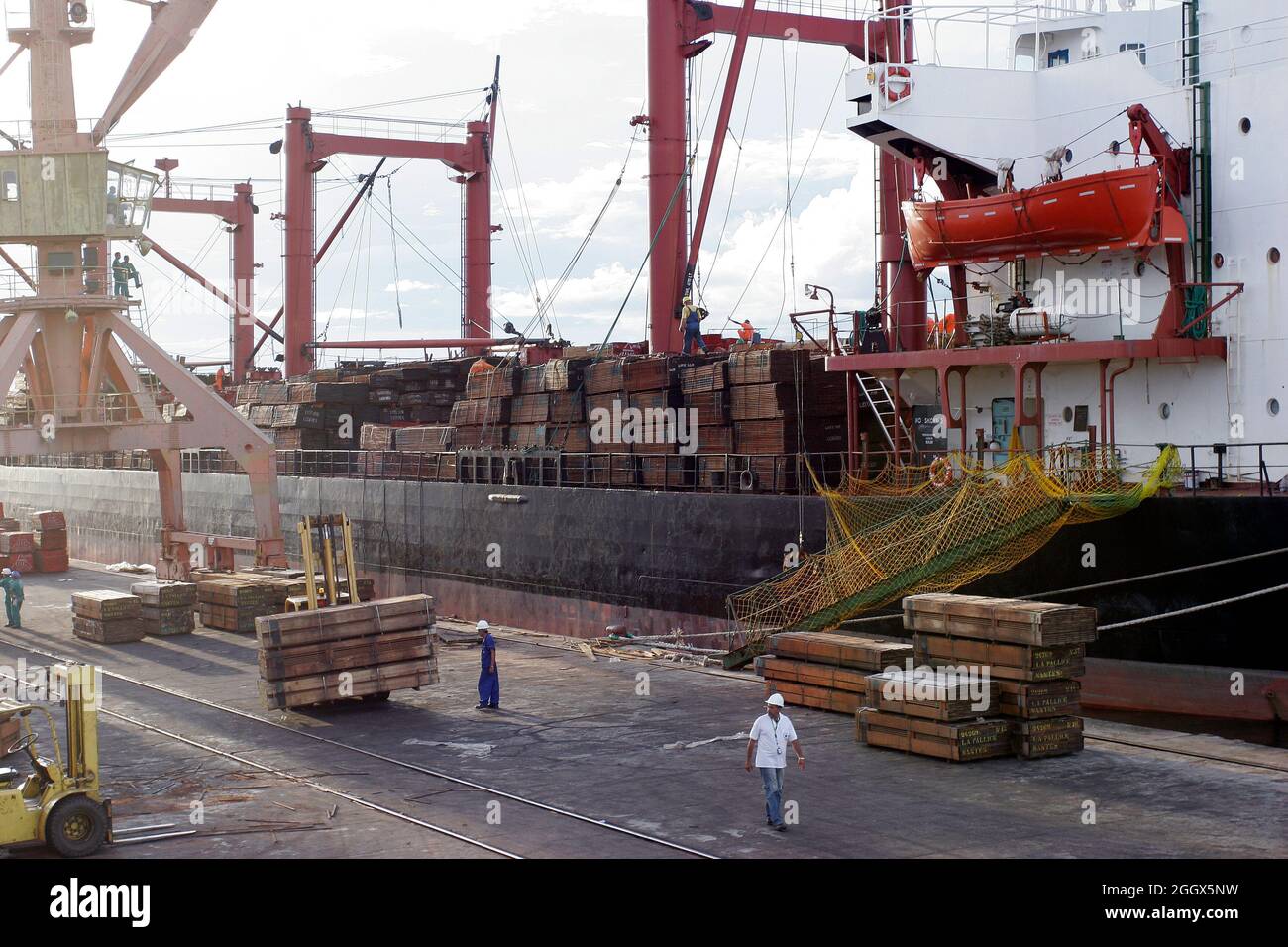 Exportation shipment of timber from Amazon rain forest. Stock Photo