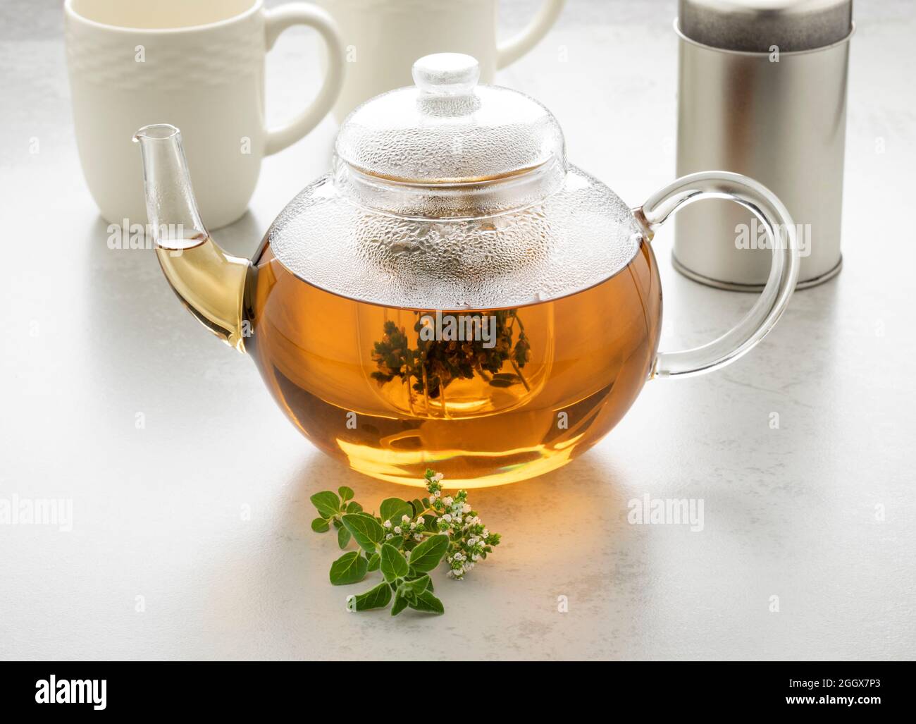 Glass teapot with oregano tea and a fresh twig of oregano in front Stock Photo