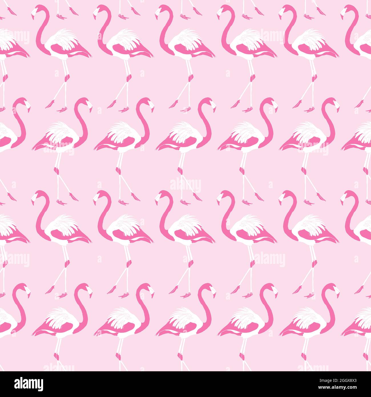 Flamingo Pink Pattern Design Background Stock Vector