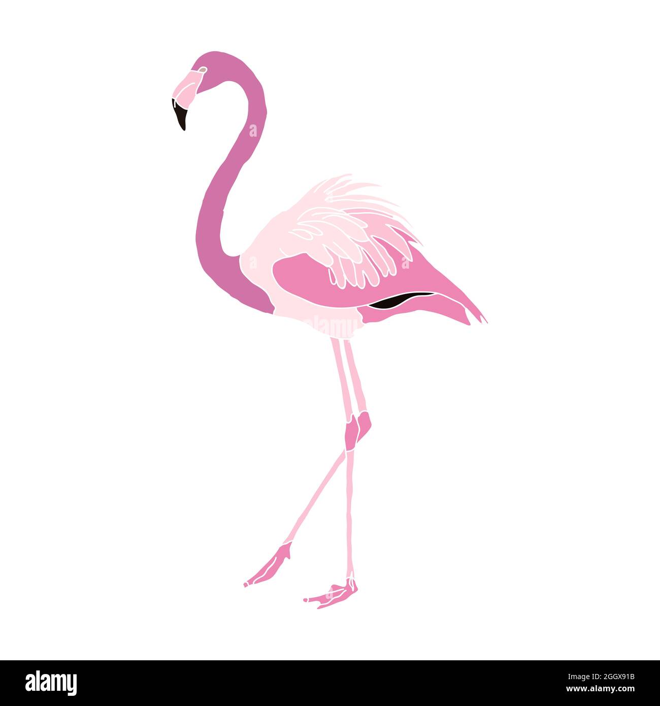 Isolated Flamingo Illustration Stock Vector Image & Art - Alamy