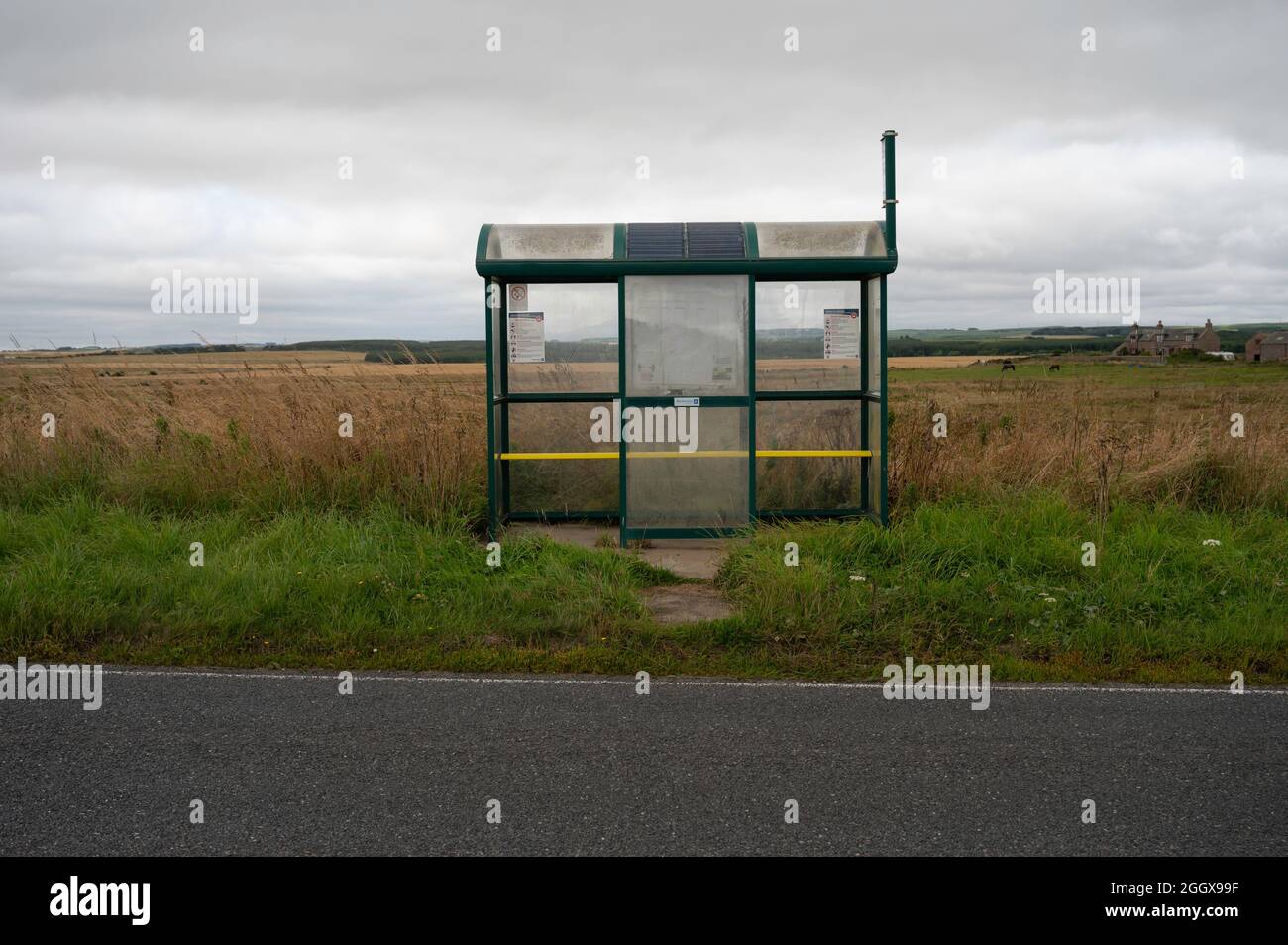 A rural bus stop and shelter with fields and farm in background. Road in foreground. No people. Aberdeenshire, Scotland. Stock Photo