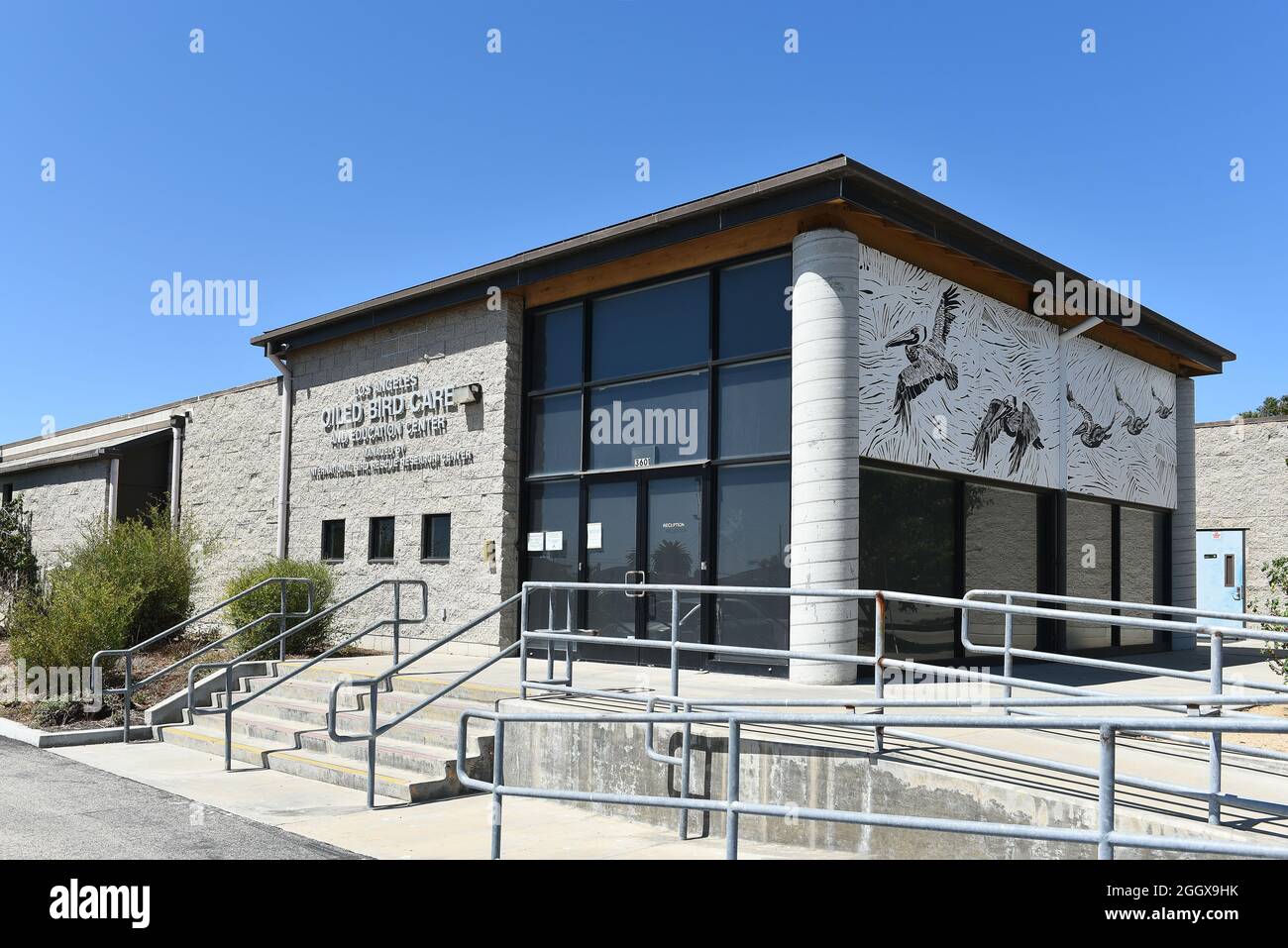 SAN PEDRO, CALIFORNIA - 27 AUG 2021: Los Angeles Oiled Bird Care and Education Center, treats seabirds, wading birds and waterfowl affected by oil spi Stock Photo