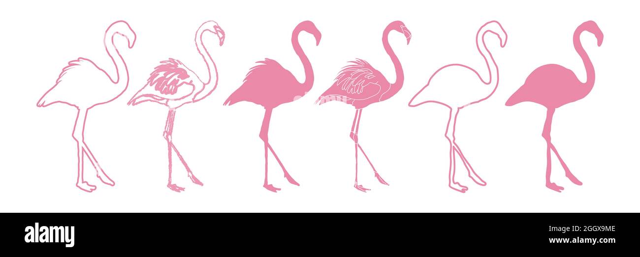Flamingo Set Isolated Silhouette Illustration Stock Vector Image & Art ...