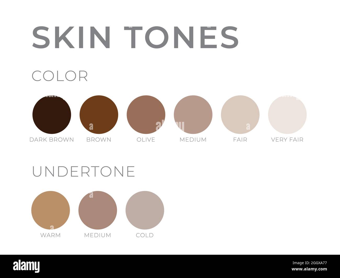 Skin tones with Undertone. Warm, Cold, Neutral Skin Colors Stock Vector