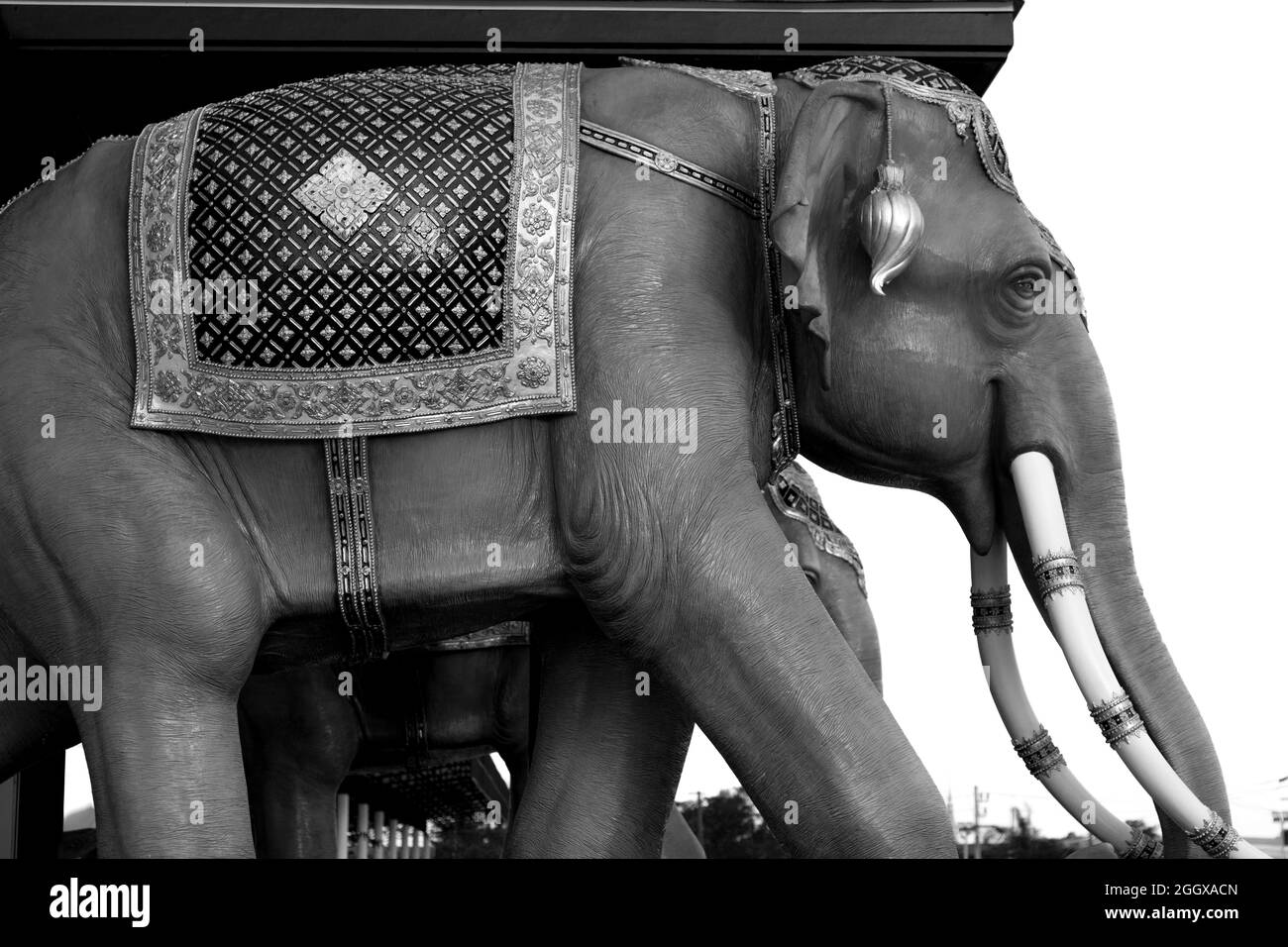Ivory Elephant Statue Black and White Stock Photos & Images - Alamy