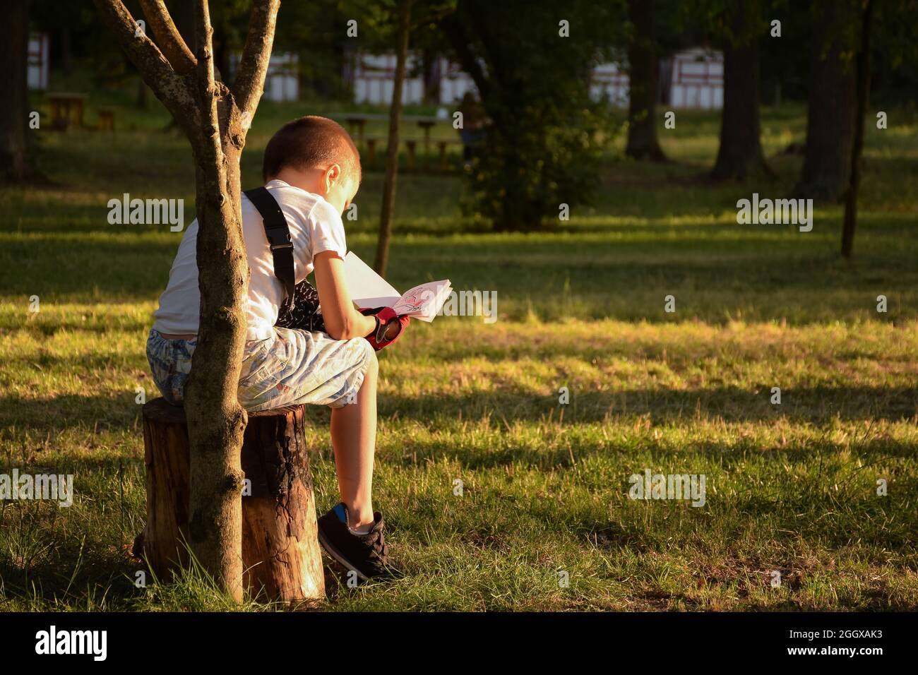 Little boy sitting with his back on a tree stump in the park and reading a book Stock Photo