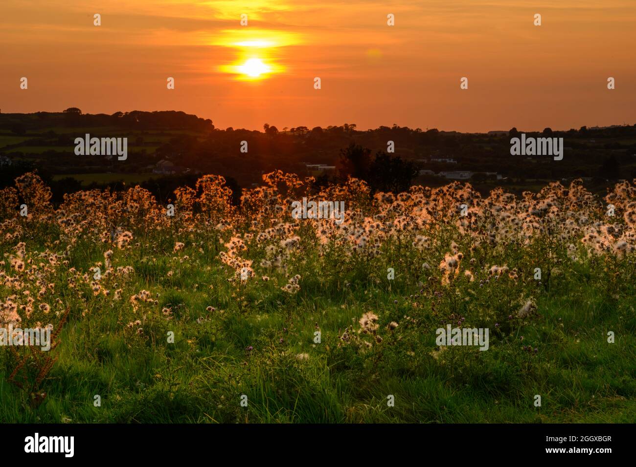 Lligwy Sunset Anglesey 28-08-21 Stock Photo