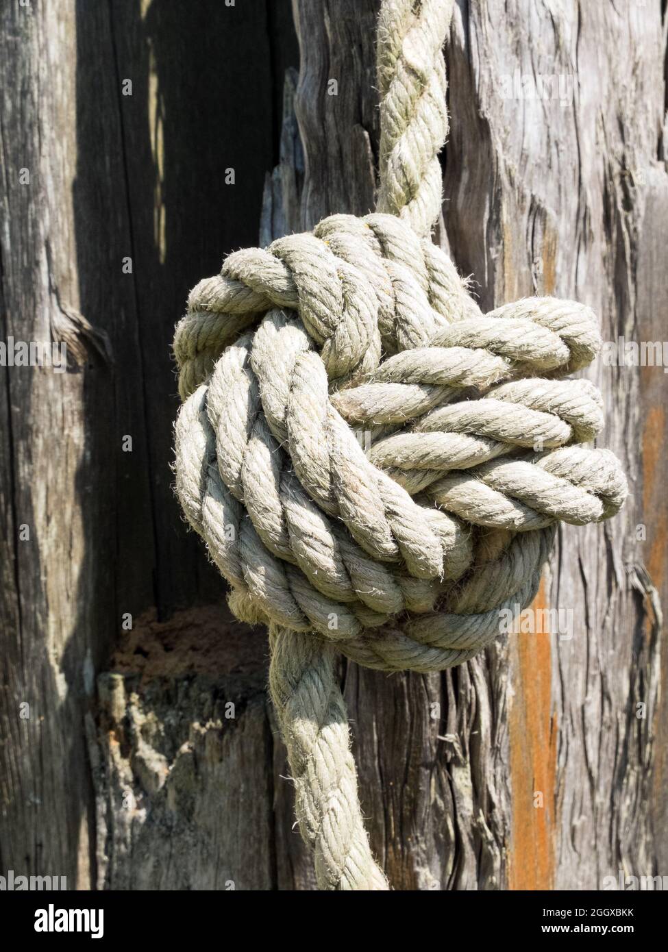 A Turk's Head knot in a large rope on a textured wooden background Stock Photo