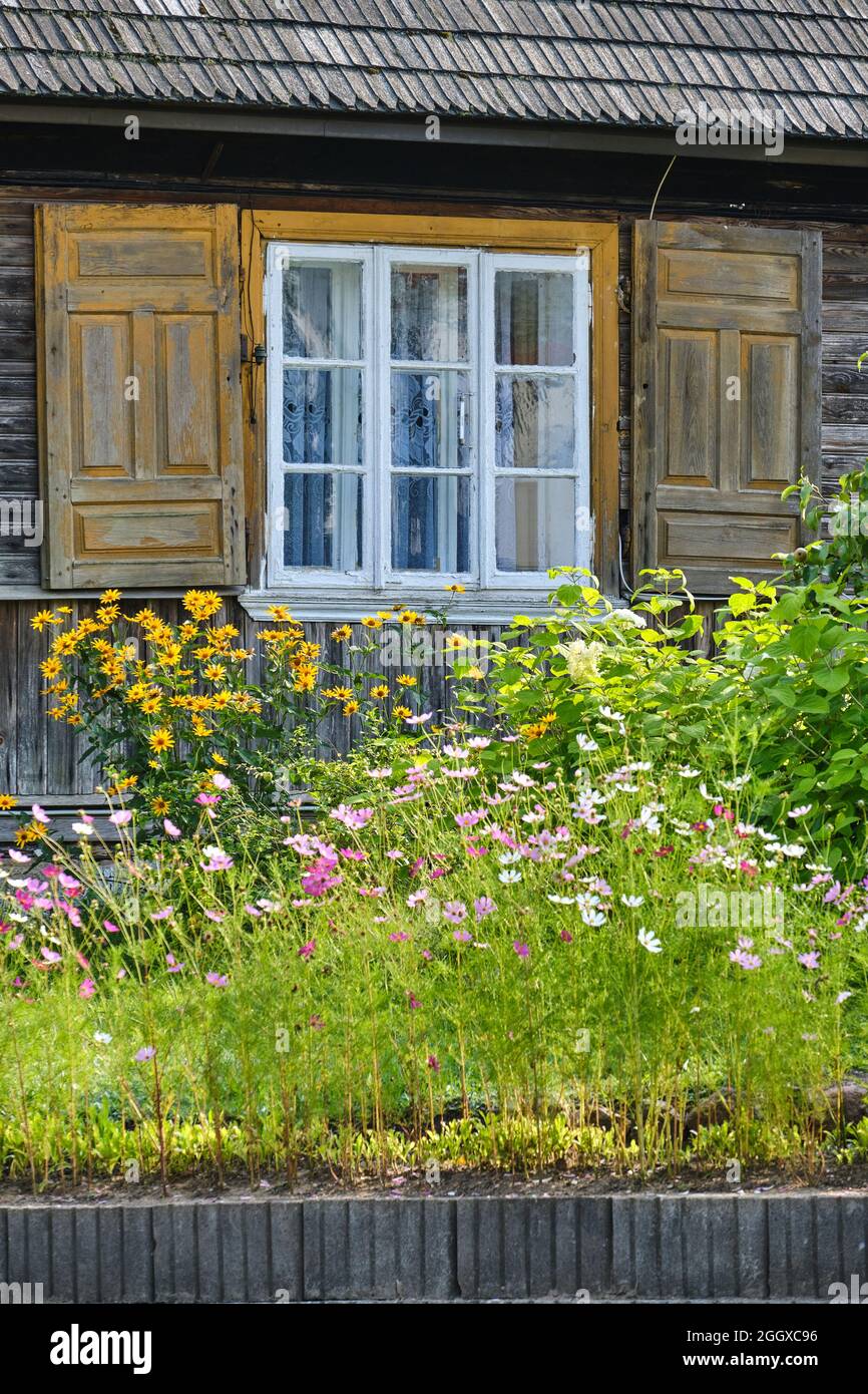 White window of old wood house, shutters and flowers Stock Photo
