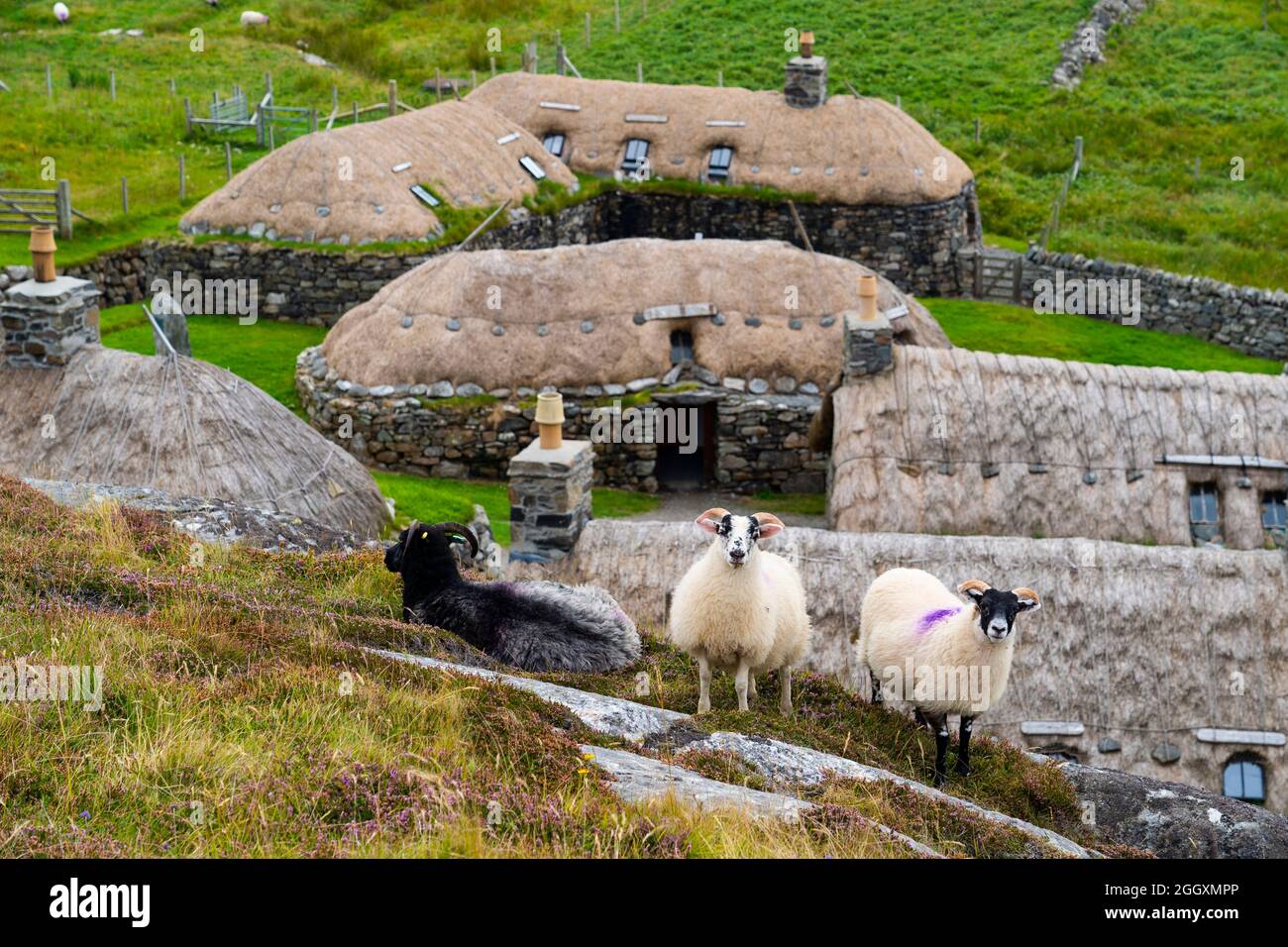 Gearrannan Blackhouse village at Garenin on Isle of Lewis , Outer Hebrides, Scotland UK Stock Photo