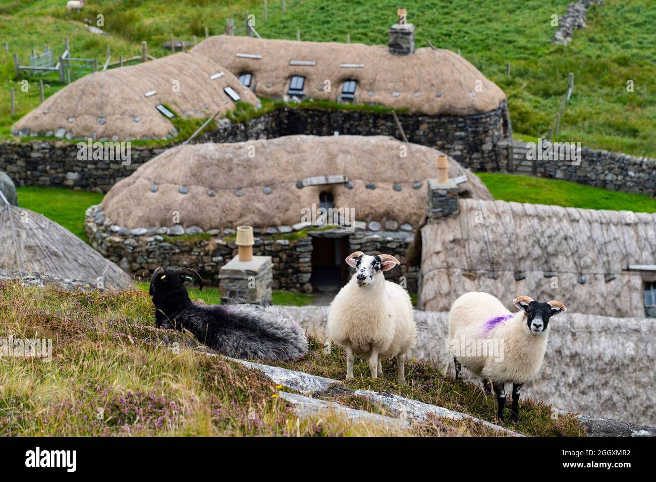 Gearrannan Blackhouse village at Garenin on Isle of Lewis , Outer Hebrides, Scotland UK Stock Photo