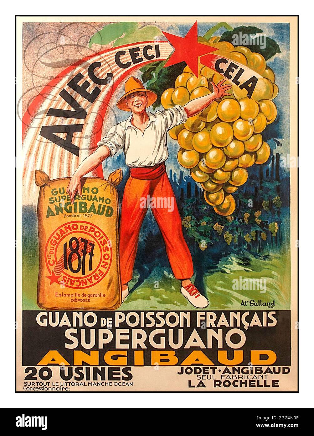 FISH FERTILISER Vintage 1920s French Agriculture Poster for GUANO Fertiliser made from French Fish 'ANGIBAUD' which helps provide wonderful grapes in vineyard.. La Rochelle France GUANO de POISSON FRANCAIS Superguano Angibaud  AVEC CECI -CELA Stock Photo