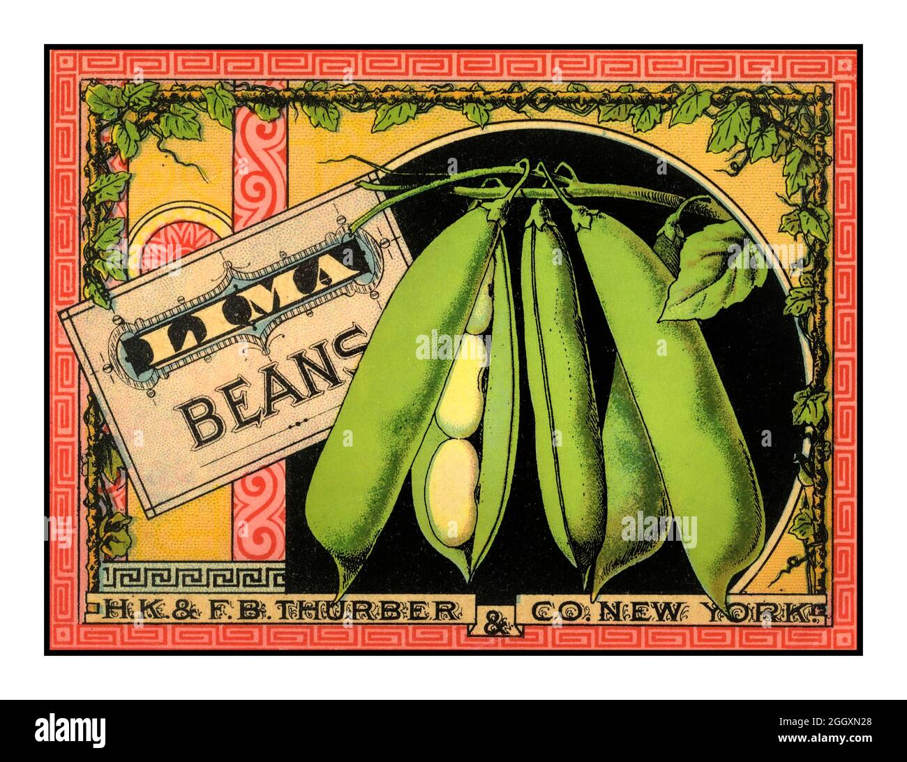 LIMA BEANS BUTTER BEANS Vintage 1900s Poster advertising for LIMA Beans by HK & FB Thurber & Co New York USA Lima bean (Phaseolus lunatus) also commonly known as the butter bean sieva bean,double bean,Madagascar bean, chad bean, or wax bean is a legume grown for its edible seeds or beans. Stock Photo