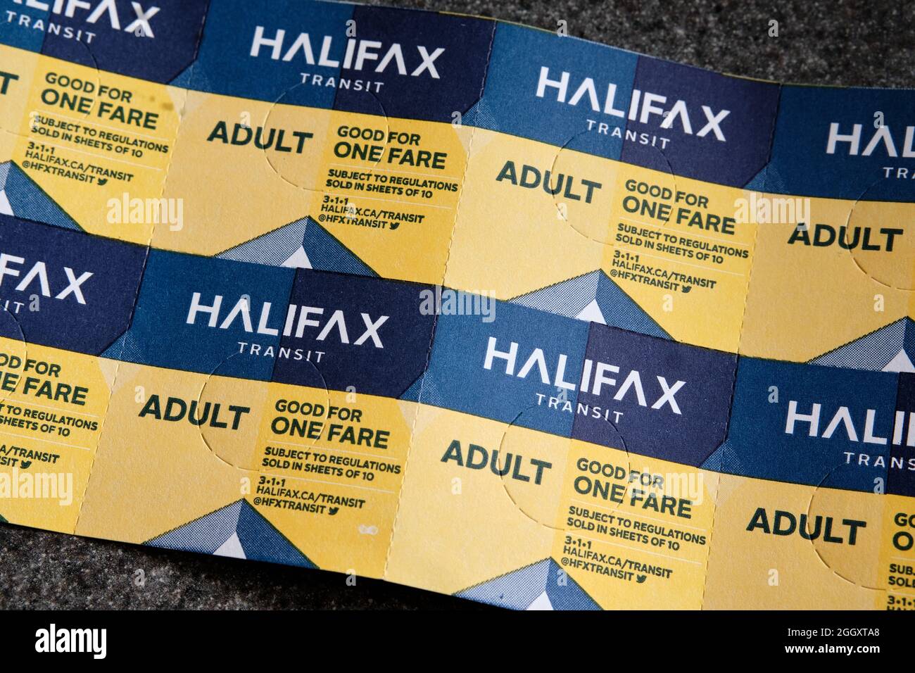 Halifax, Canada. August 31, 2021. Booklet of Halifax public transit Bus and Ferry tickets Stock Photo