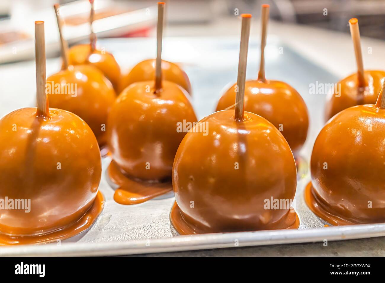 Caramel caramelized apples with sticks sweet candied food dessert on retail display in bakery store shop cafe in Key West, Florida Stock Photo