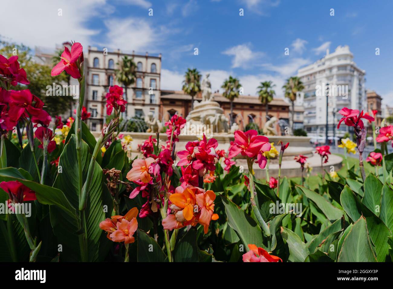 Park bench in blooming hi-res stock photography and images - Alamy