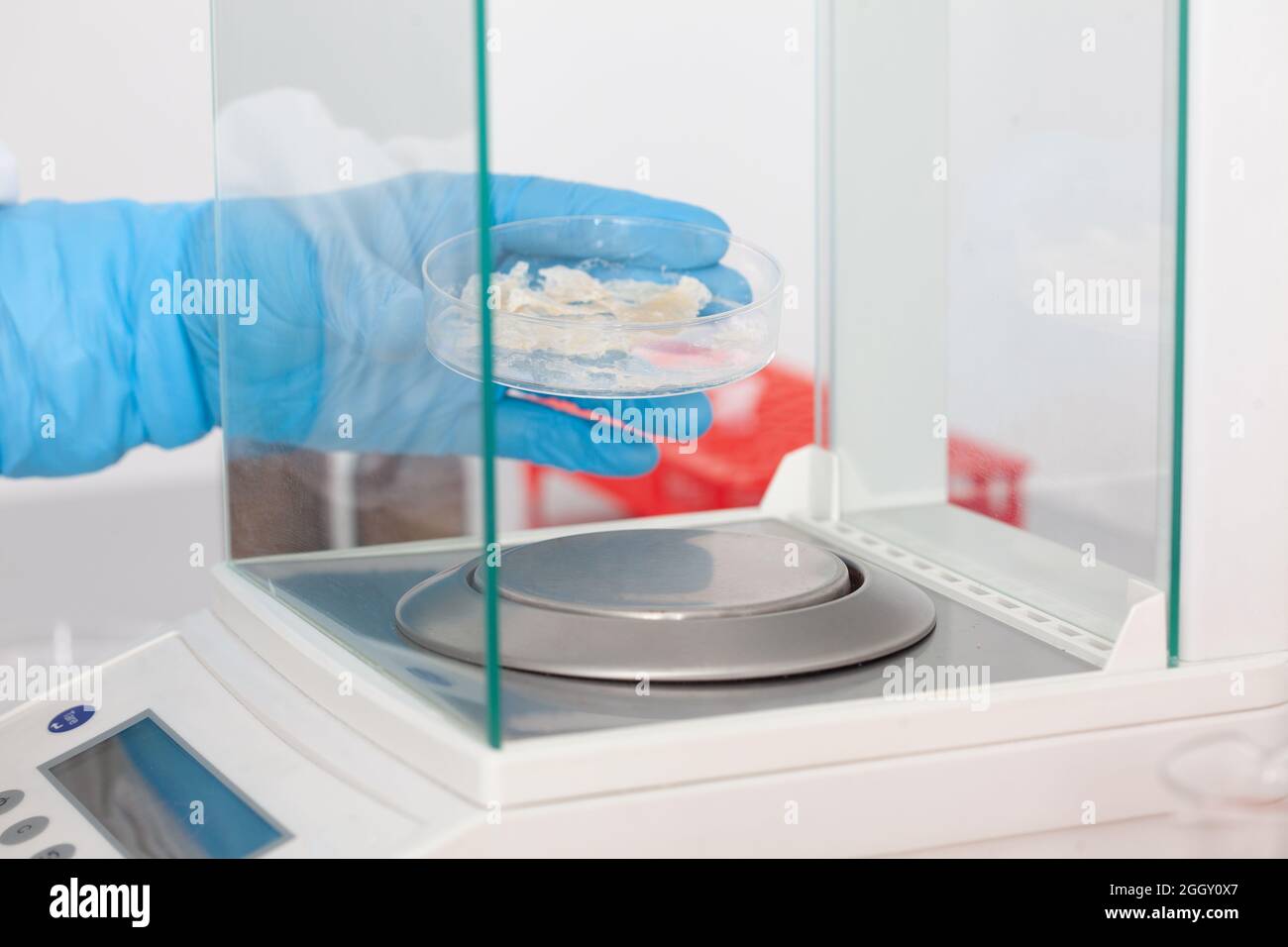 Scientist using an analytical balance at laboratory Stock Photo - Alamy