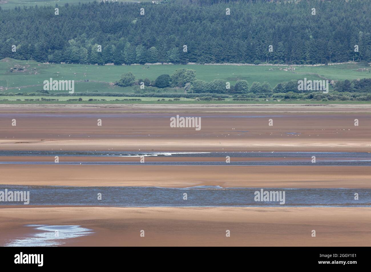 The Duddon Tidal Bore viewed from Dunnerholme, a limestone promontory on the shores of the Duddon Estuary Stock Photo