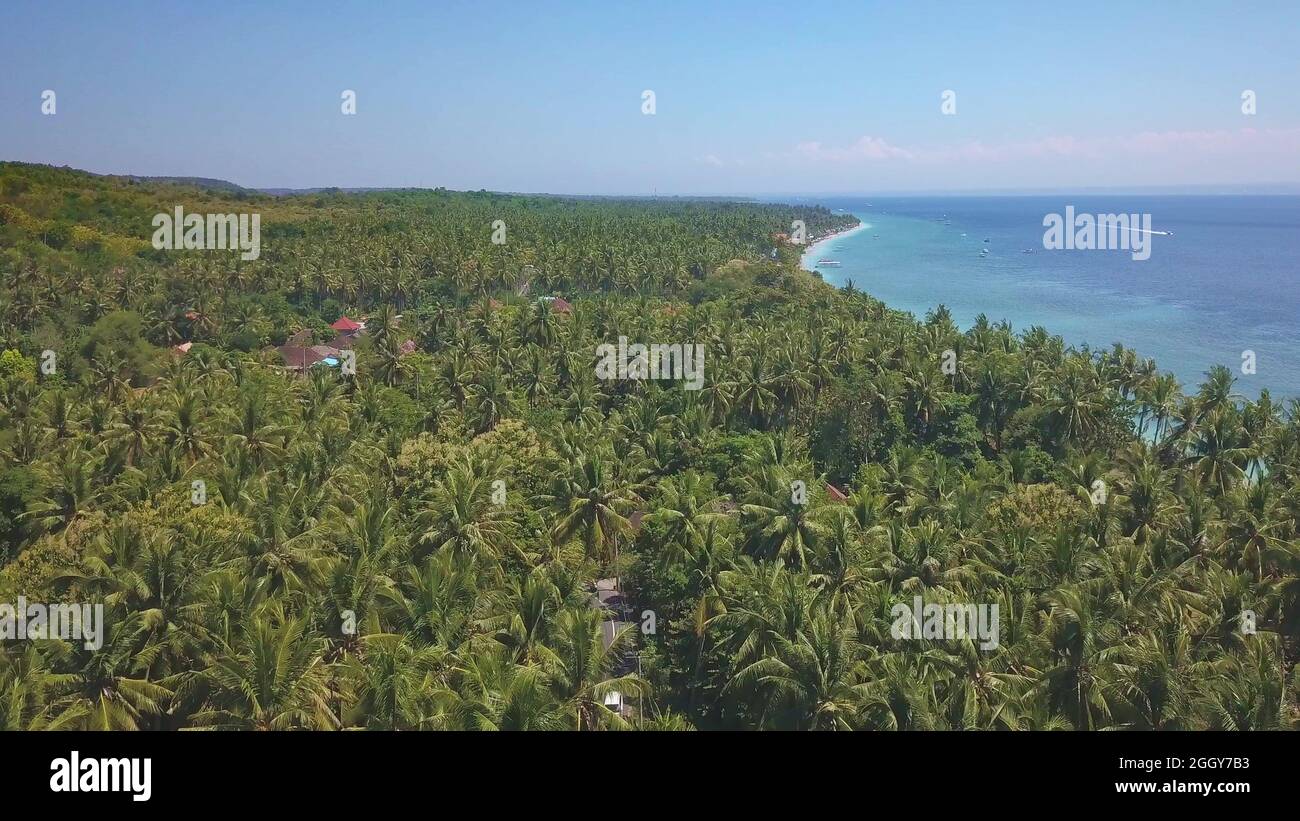 Drone flying along palm tree hi-res stock photography and images - Alamy