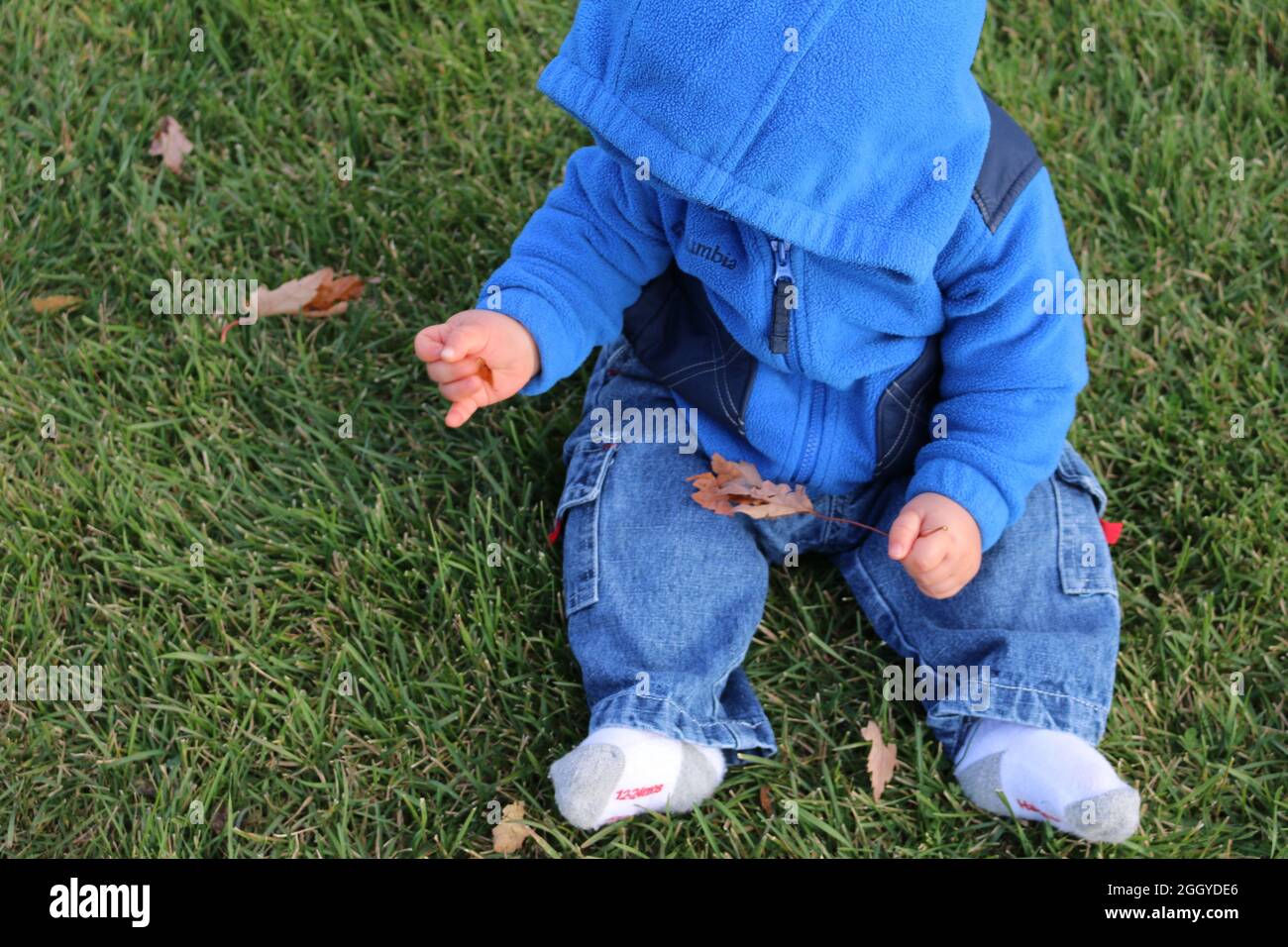 Baby boy in the grass Stock Photo