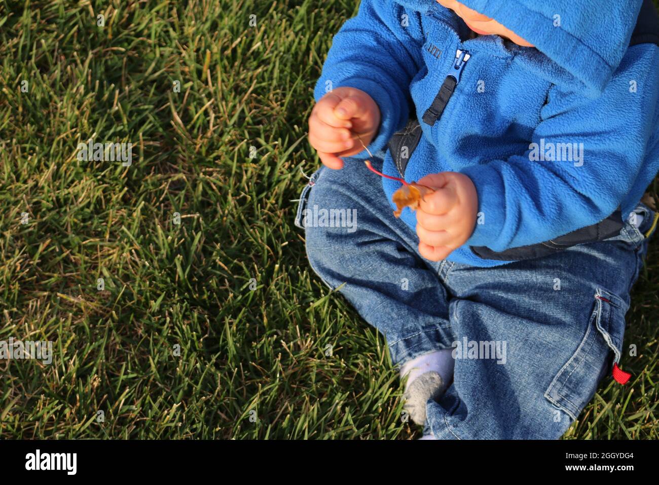 Baby boy in the grass Stock Photo