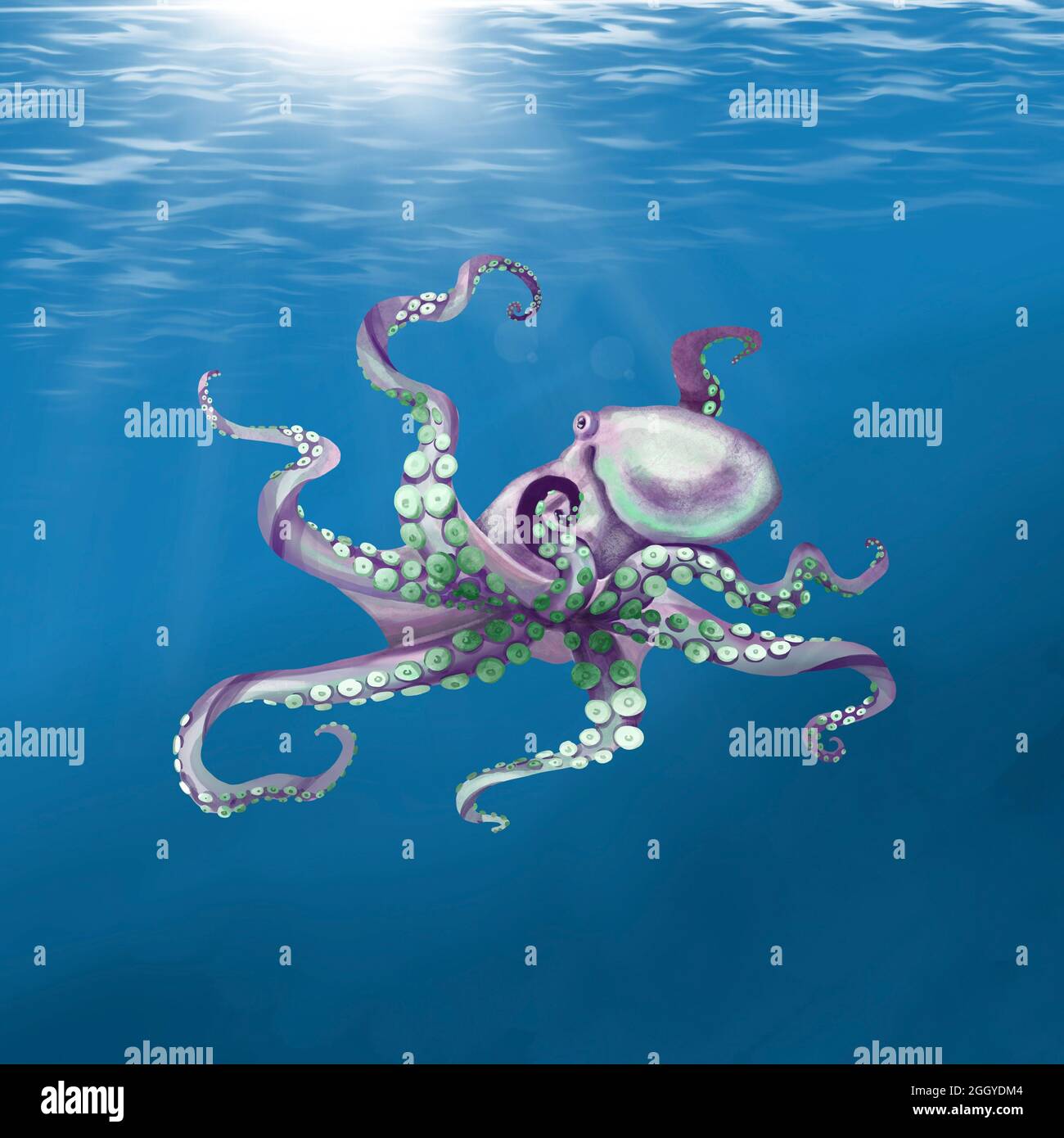Octopus in watercolor hi-res stock photography and images - Alamy