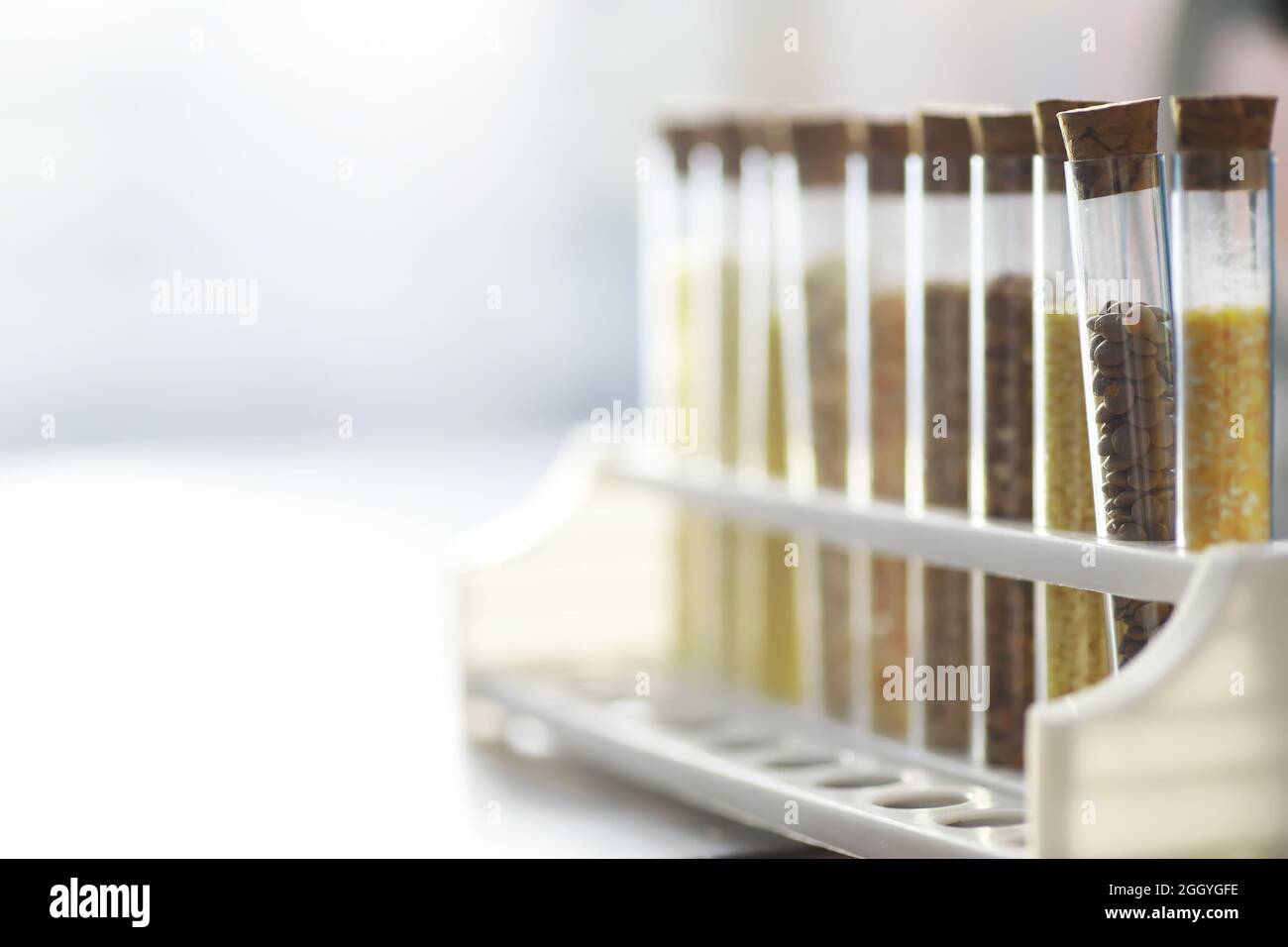 Test tubes with seeds of selection plants. Research Analyzing