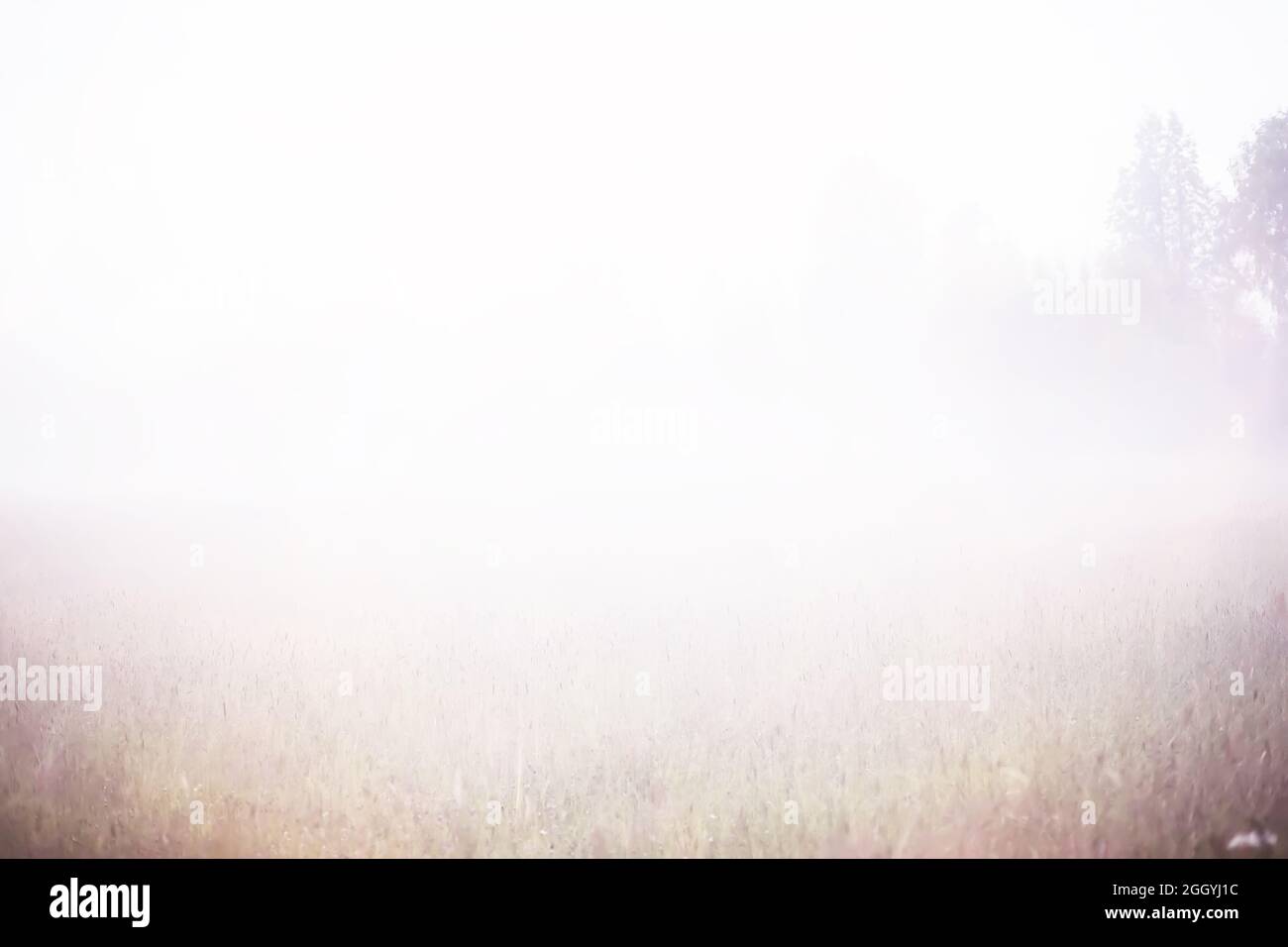Sally in silhouette hi-res stock photography and images - Alamy
