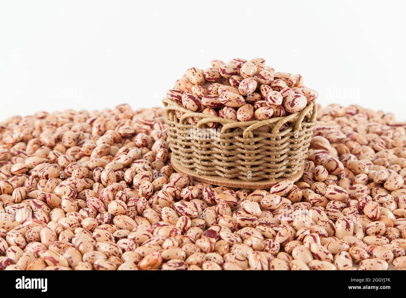 Pinto beans, a legume native to the American continent; photo on white