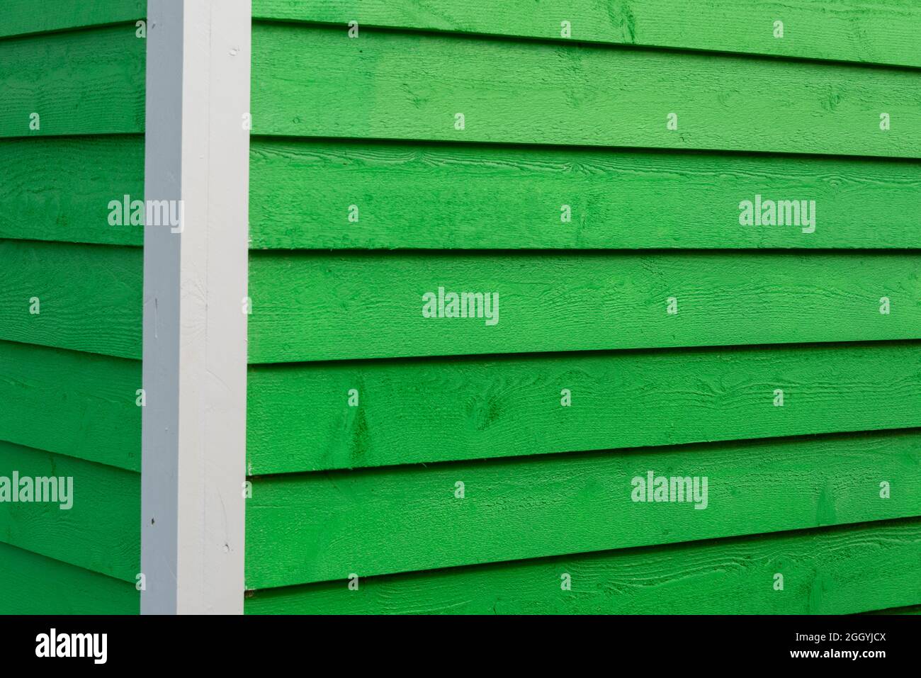 The exterior of a vibrant green narrow wooden horizontal clapboard wall of a house. The trim on the building is white in color. Stock Photo