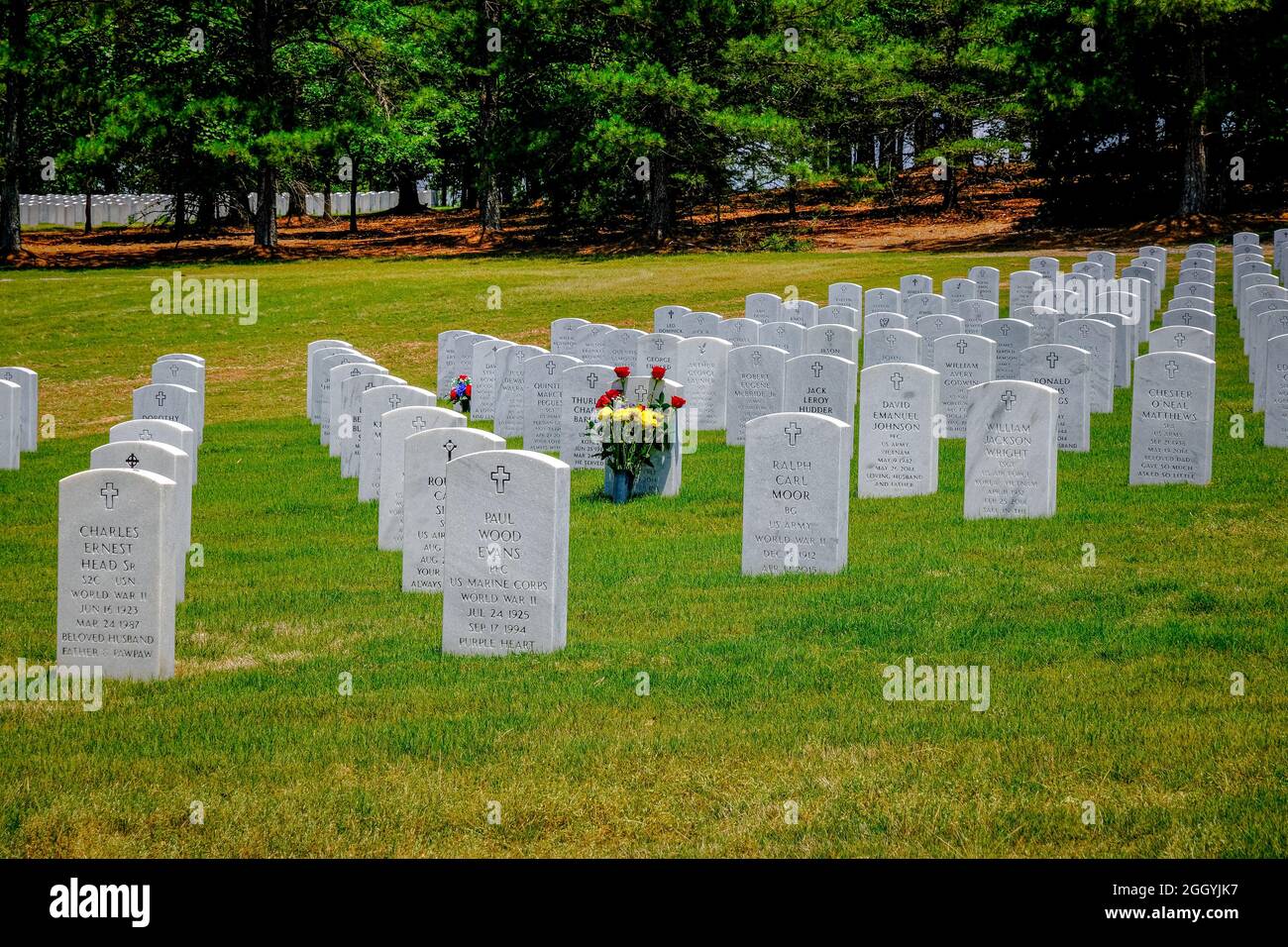 Veterans Memorial Cemetery Stock Photo - Alamy