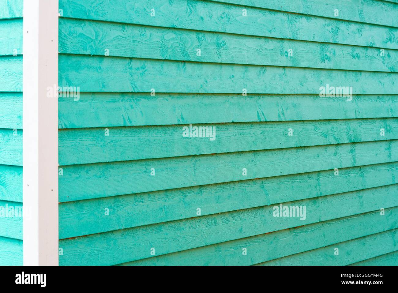 The exterior of a bright teal green narrow wooden horizontal clapboard wall of a vintage house. The trim on the building is white in color. Stock Photo