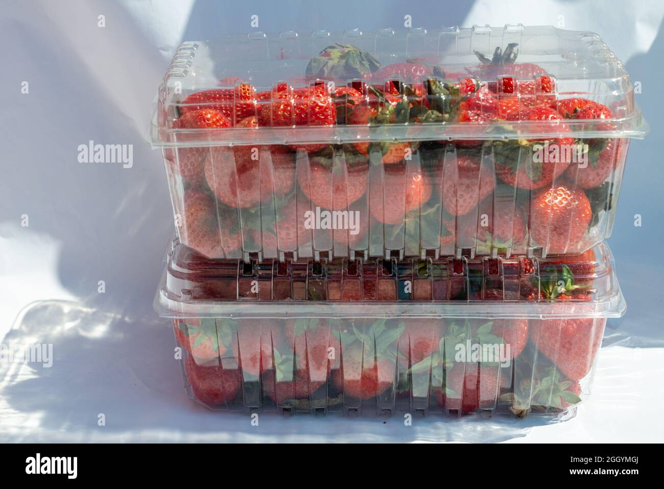 Clear plastic containers hi-res stock photography and images - Alamy