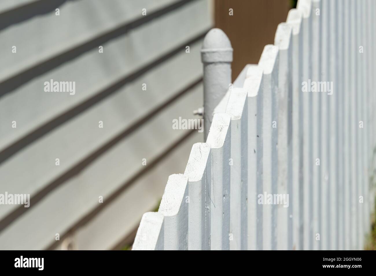 A stark white wood residential picket fence enclosing a garden with tall evergreen trees in the background. There are multiple nail holes. Stock Photo