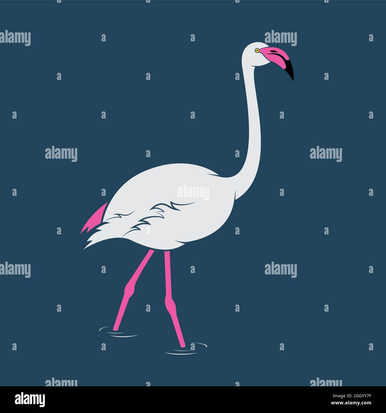 Flamingos at a zoo Stock Vector Images - Alamy