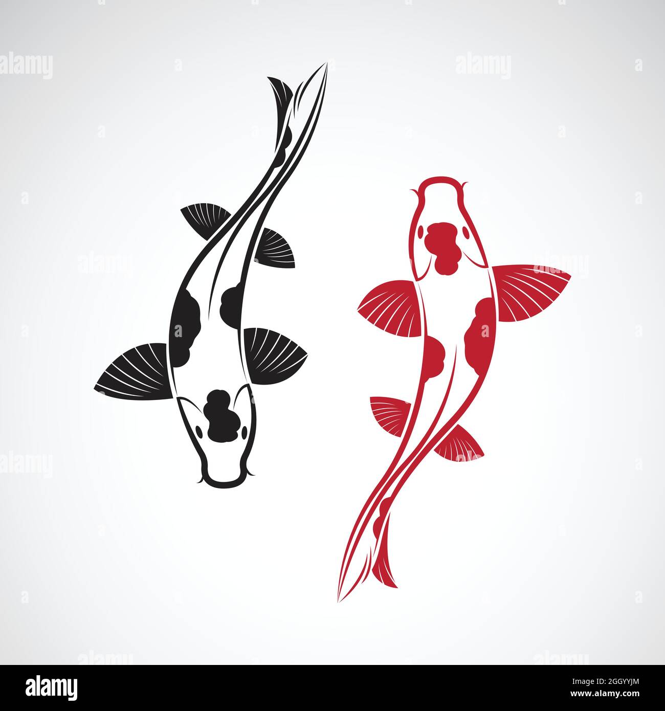 Vector of carp koi fish isolated on white background. Pet Animal. Fish icon. Easy editable layered vector illustration. Stock Vector