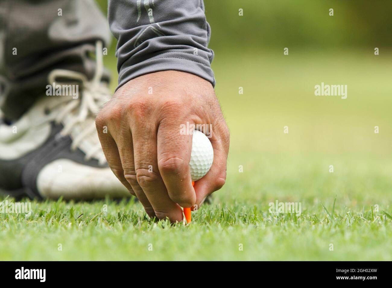 Hand hold golf ball with tee on course Stock Photo Alamy