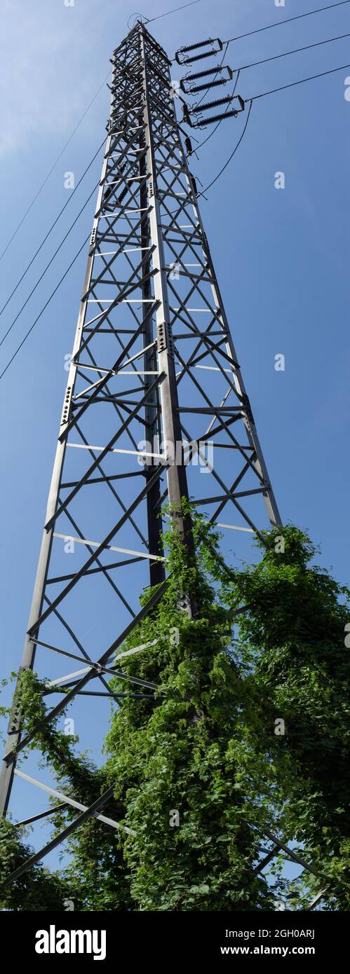 Low angle if a giant electricity transmission tower under the shiny ...